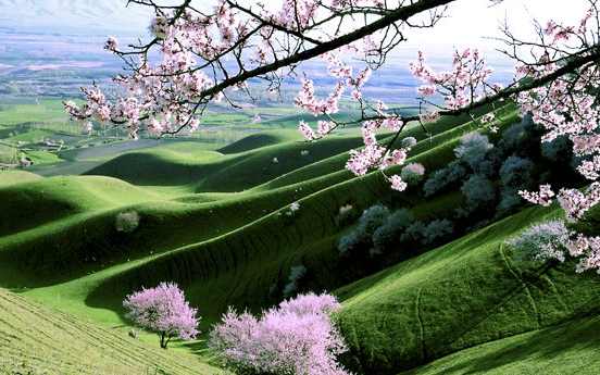 粉象生活如何快速成长