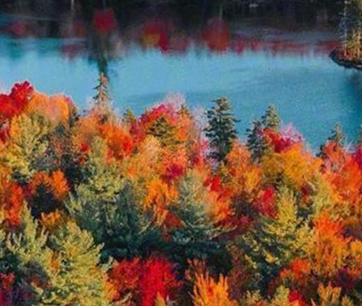 佳木斯粉象生活