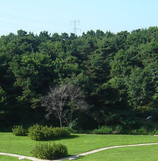 电商粉象生活怎么赚钱