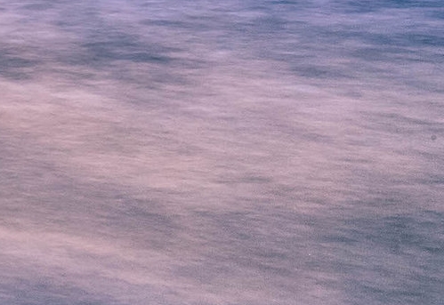 粉象生活粉丝怎么增加