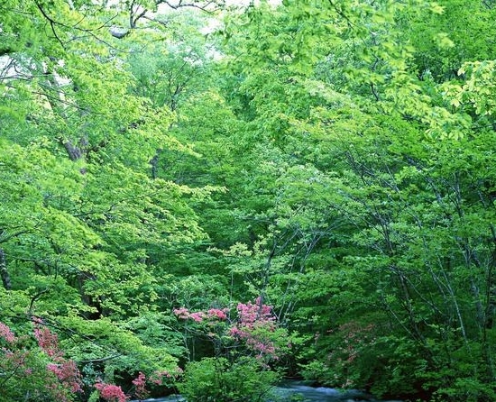 粉象生活的会员怎么升级