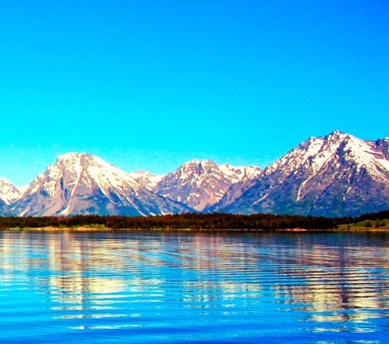 粉象生活怎么赚钱的