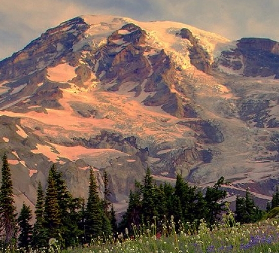 粉象生活升级vip会员1年到期