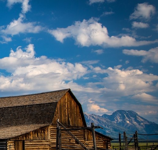 粉象生活能赚钱吗