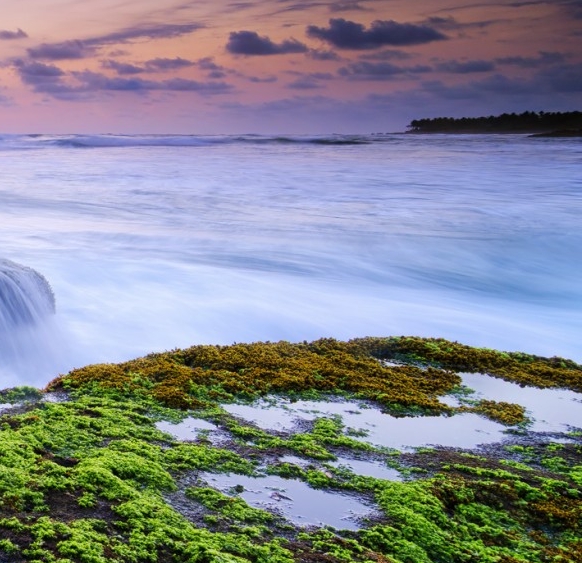 粉象生活是个坑