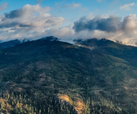 粉象生活赚钱教程
