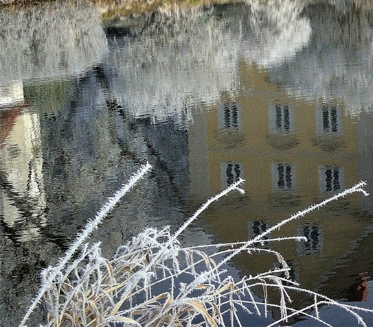 粉象生活赚钱是真的假的