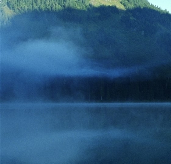 粉象生活能赚到钱吗