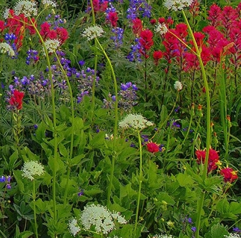 粉象生活邀请一个人有多少佣金