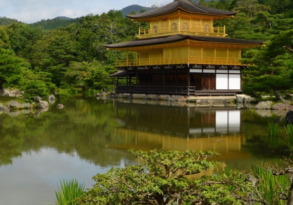 粉象生活粉丝怎么增加