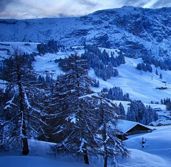 粉象生活官网app下载粉象生活