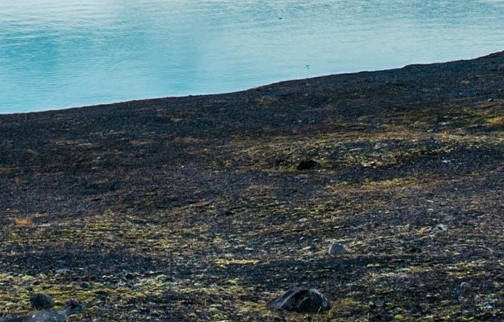 粉象生活是什么APP