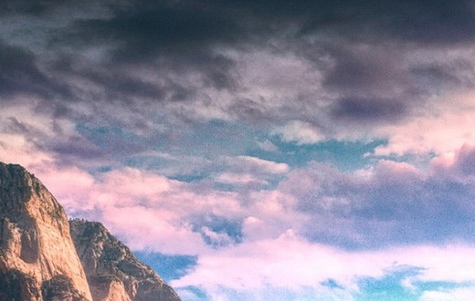 粉象生活公司简介