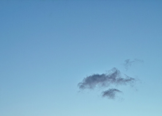 粉象生活下载app