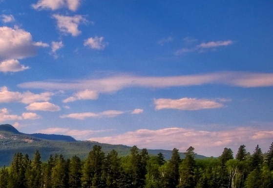 粉象生活怎么赚钱