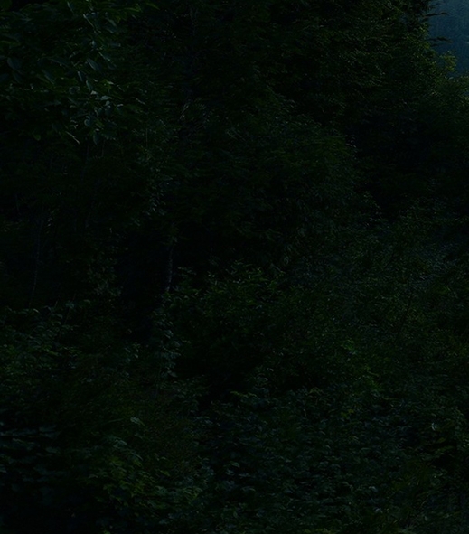 粉象生活自媒体怎么挣钱