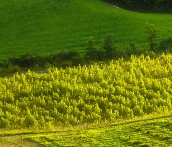 江西一站式粉象生活网站