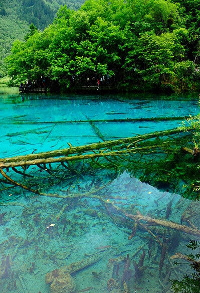 粉象生活怎么免费获得