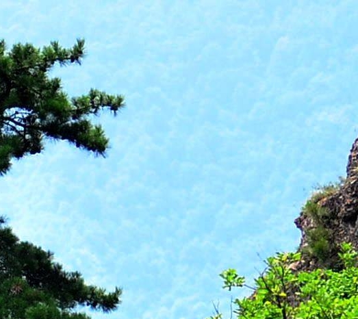 粉象生活到底能不能做