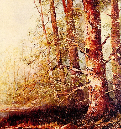 粉象生活能赚钱吗