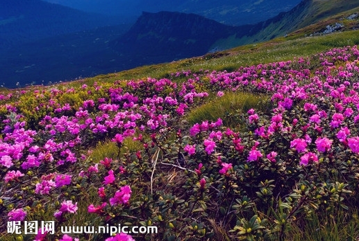 如何在粉象生活里找到账单