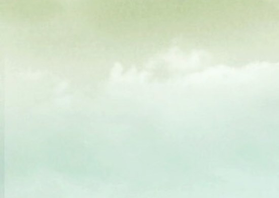 直播明星在监狱的生活小说