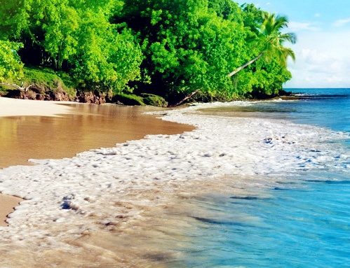 粉象生活合法吗