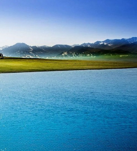 杭州粉象生活视频