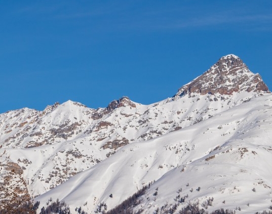 粉象生活能赚到钱吗