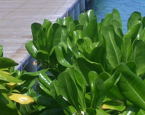 粉象生活如何解绑手机号