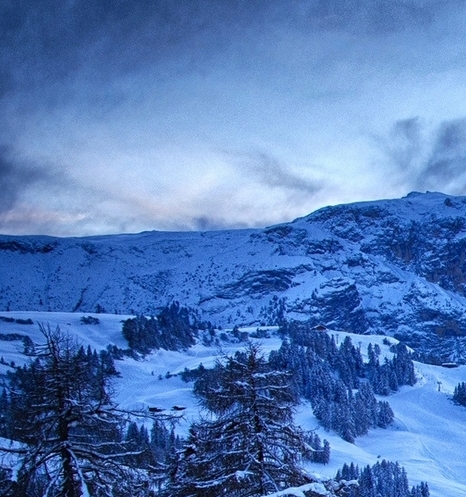 粉象生活邀请码