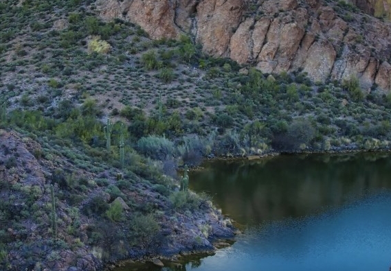 粉象生活怎么不自动付款