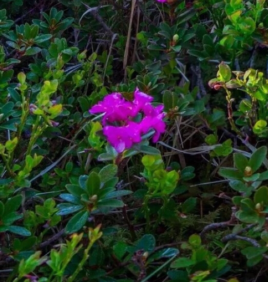 粉象生活怎么快速推广