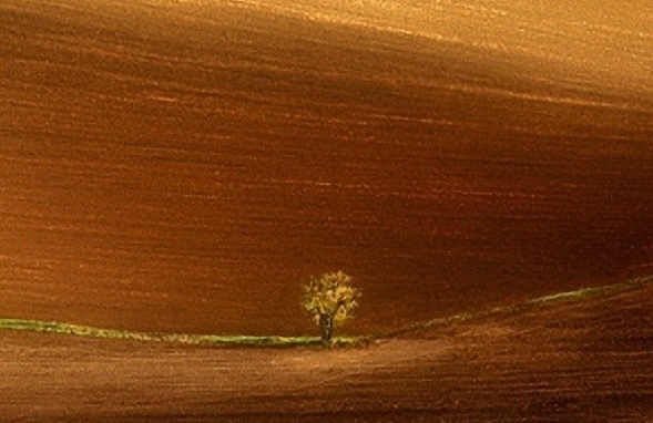 粉象生活怎么关闭购买功能