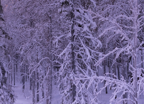 粉象生活分享红包怎么用