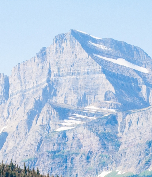 粉象生活收费吗