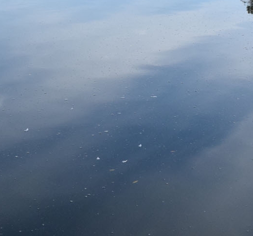 粉象生活如何取消任务