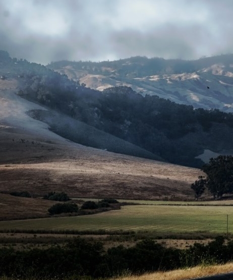 烟台粉象生活图片