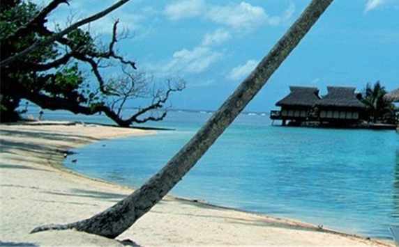 粉象生活粉丝怎么增加