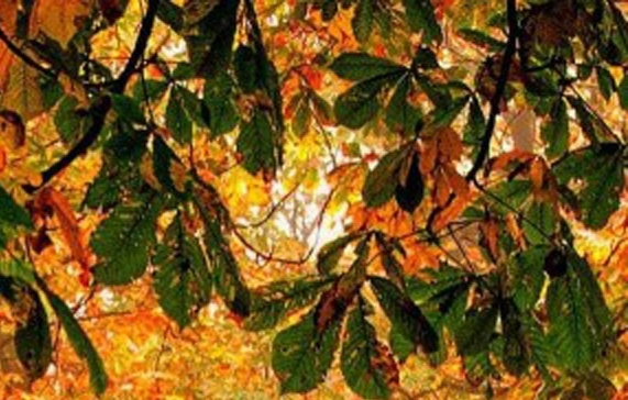 深圳粉象生活怎么样