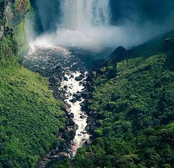 粉象生活模式合法吗