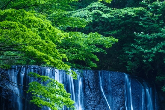 粉象生活里怎么找收货地址