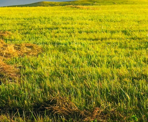运城生活怎么样