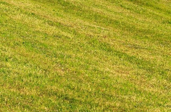 南京粉象生活佣金