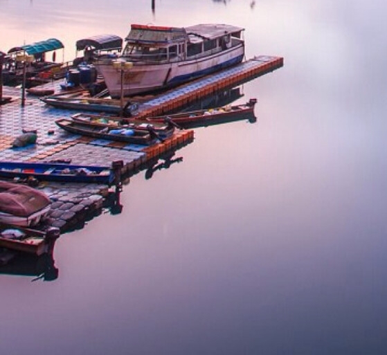 粉象生活粉丝怎么增加