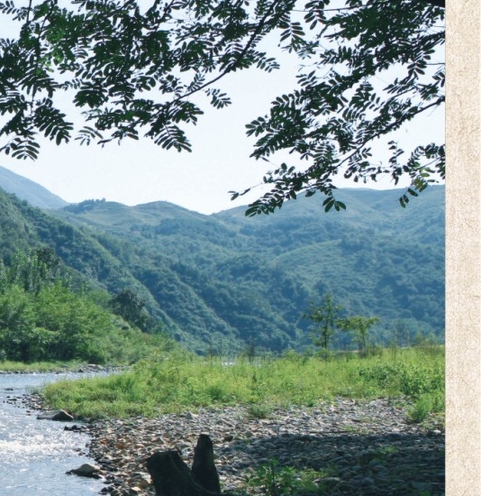 小象生活螺蛳粉