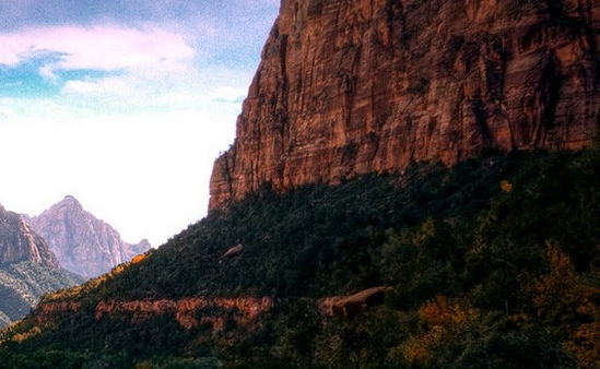 粉象生活如何选邀请码