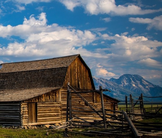 粉象生活苹果手机