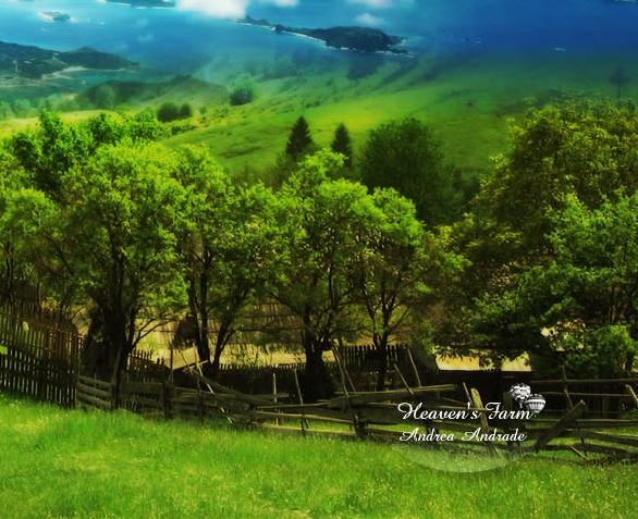 肇庆粉象生活合伙人