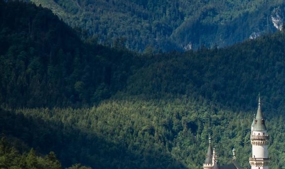 杭州粉象家科技有限公司 电话